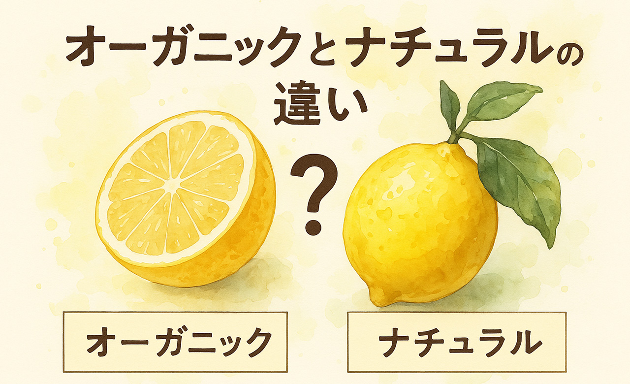オーガニックとナチュラルの違いとは？選ぶ前に知っておきたい基本知識