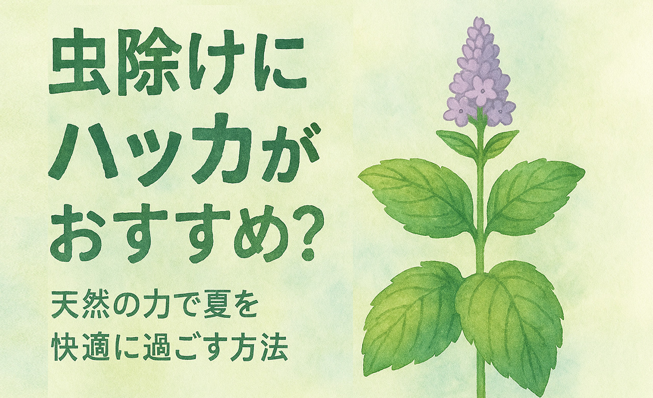 虫除けにハッカが効果的？天然の力で夏を快適に過ごす方法