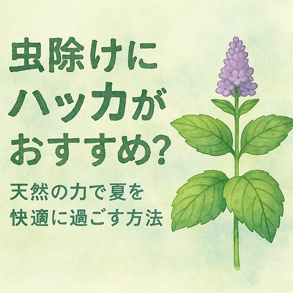 虫除けにハッカが効果的？天然の力で夏を快適に過ごす方法